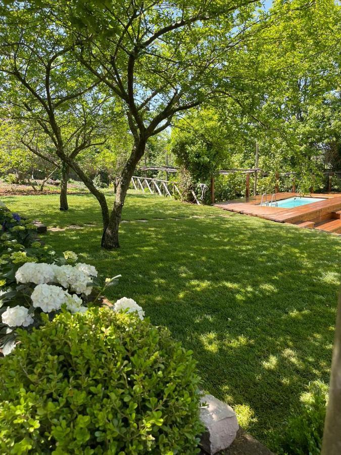 Villa Spartano Sant'Agata Sui Due Golfi Massalubrense Massa Lubrense Eksteriør billede